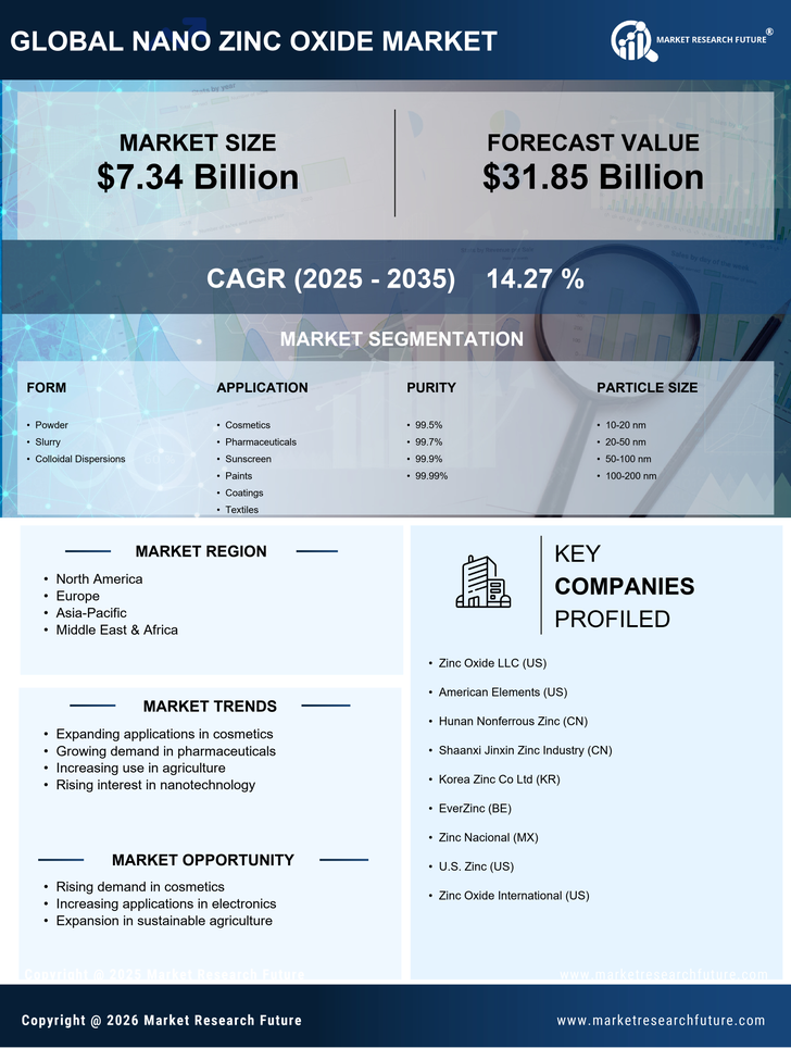 Nano Zinc Oxide Market Research Report — Global Forecast till 2035 Infographic