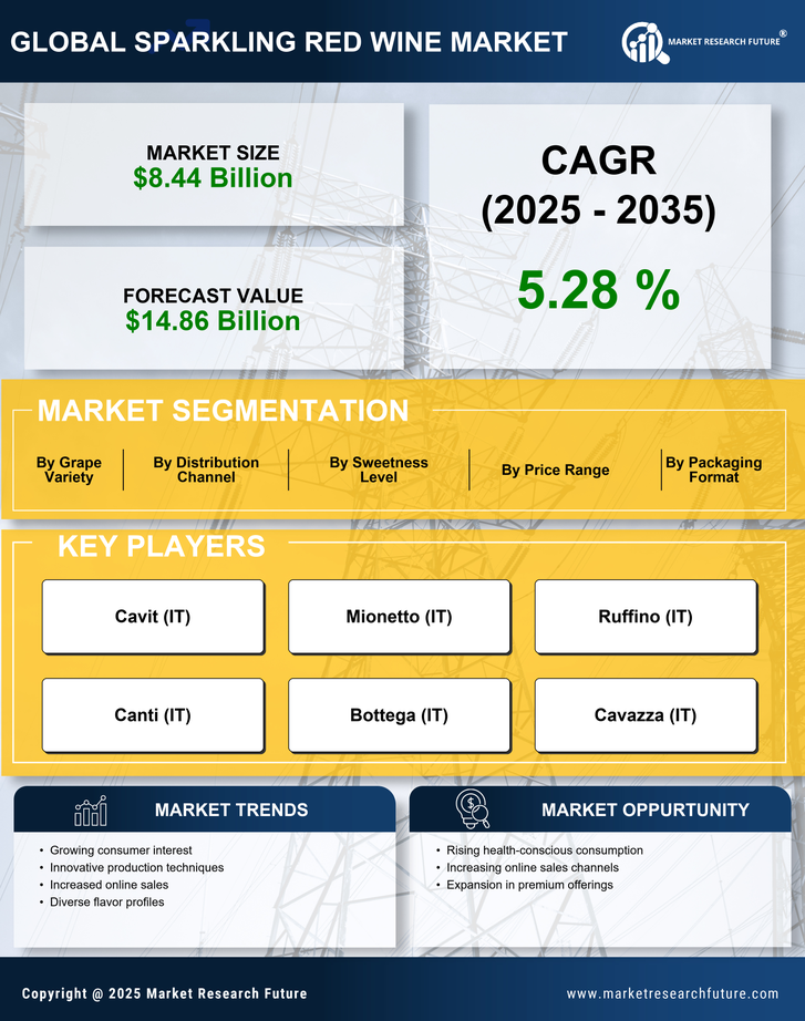 Sparkling Red Wine Market Research Report — Global Forecast till 2035 Infographic