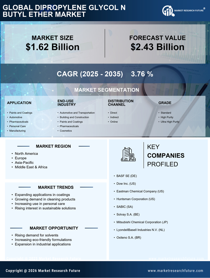 Dipropylene Glycol N Butyl Ether Market Research Report — Global Forecast till 2035 Infographic