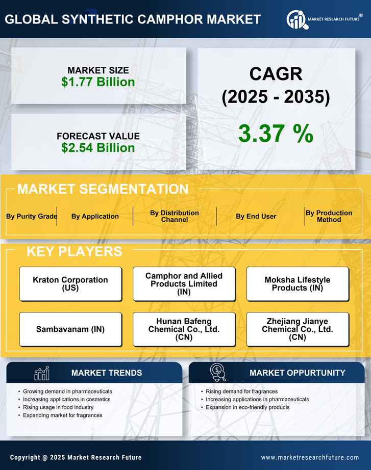 Synthetic Camphor Market Research Report — Global Forecast till 2035 Infographic