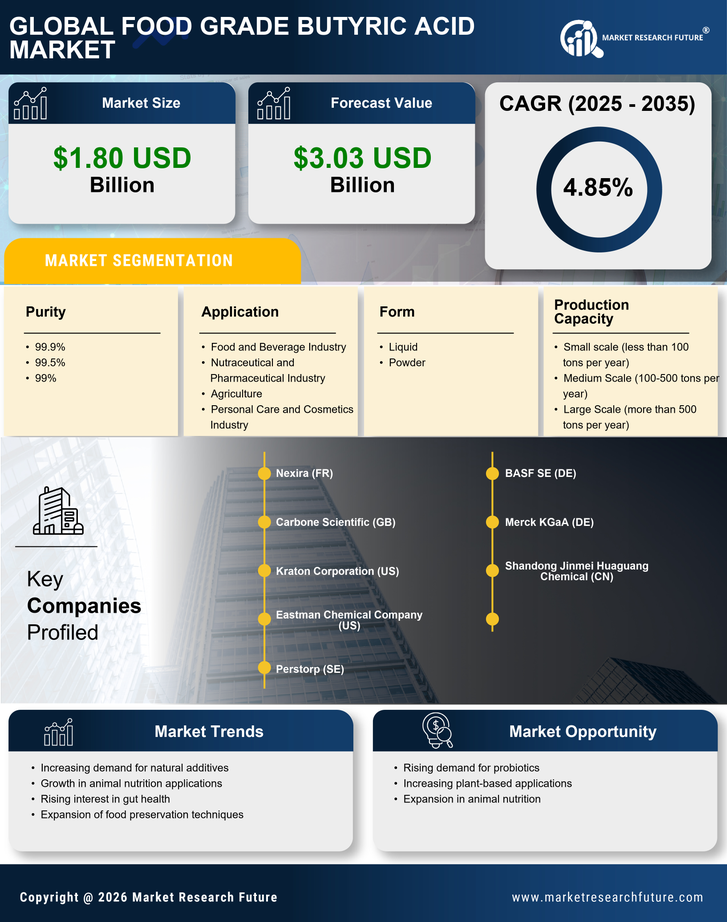 Food Grade Butyric Acid Market Research Report — Global Forecast till 2035 Infographic