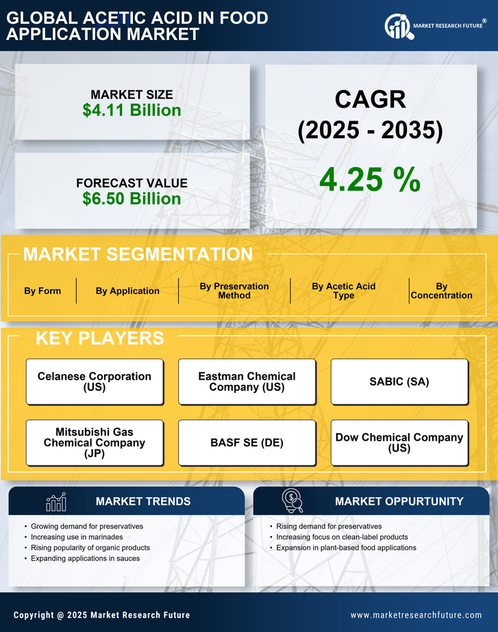 Acetic Acid In Food Application Market Research Report-Forecast Till 2035 Infographic
