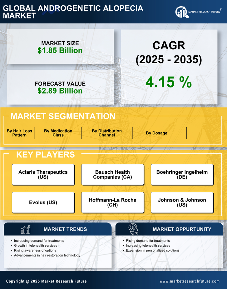 Androgenetic Alopecia Market Research Report - Forecast till 2035 Infographic