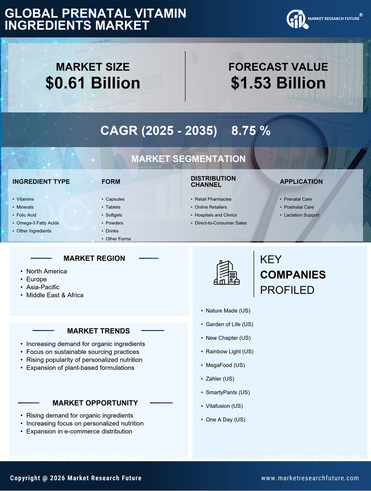 Prenatal Vitamin Ingredients Market Research Report-Global Forecast till 2035 Infographic
