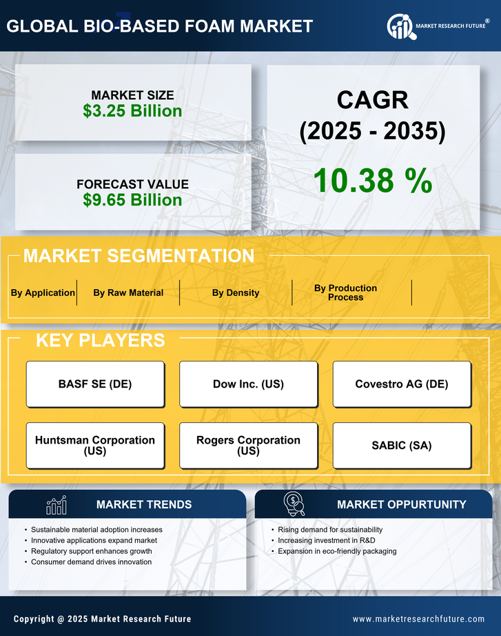 Bio-Based Foam Market Research Report- Global Forecast till 2035 Infographic