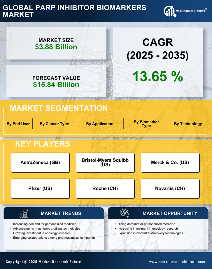 PARP Inhibitor Biomarkers Market Research Report - Forecast 2035 Infographic