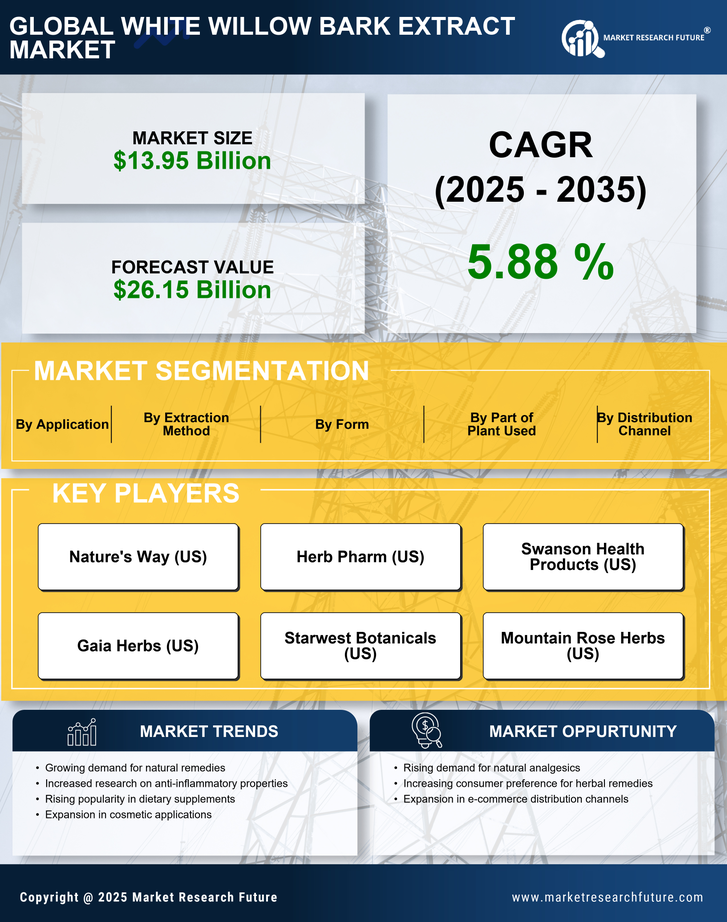 White Willow Bark Extract Market Research Report — Global Forecast till 2035 Infographic