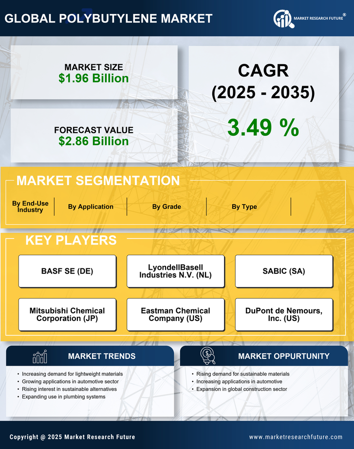 Polybutylene Market Research Report - Forecast to 2035 Infographic
