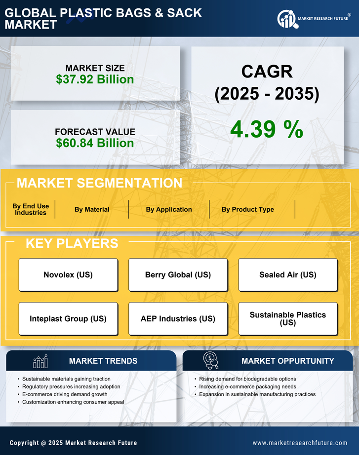 Plastic Bags Sack Market Research Report-Forecast till 2035 Infographic