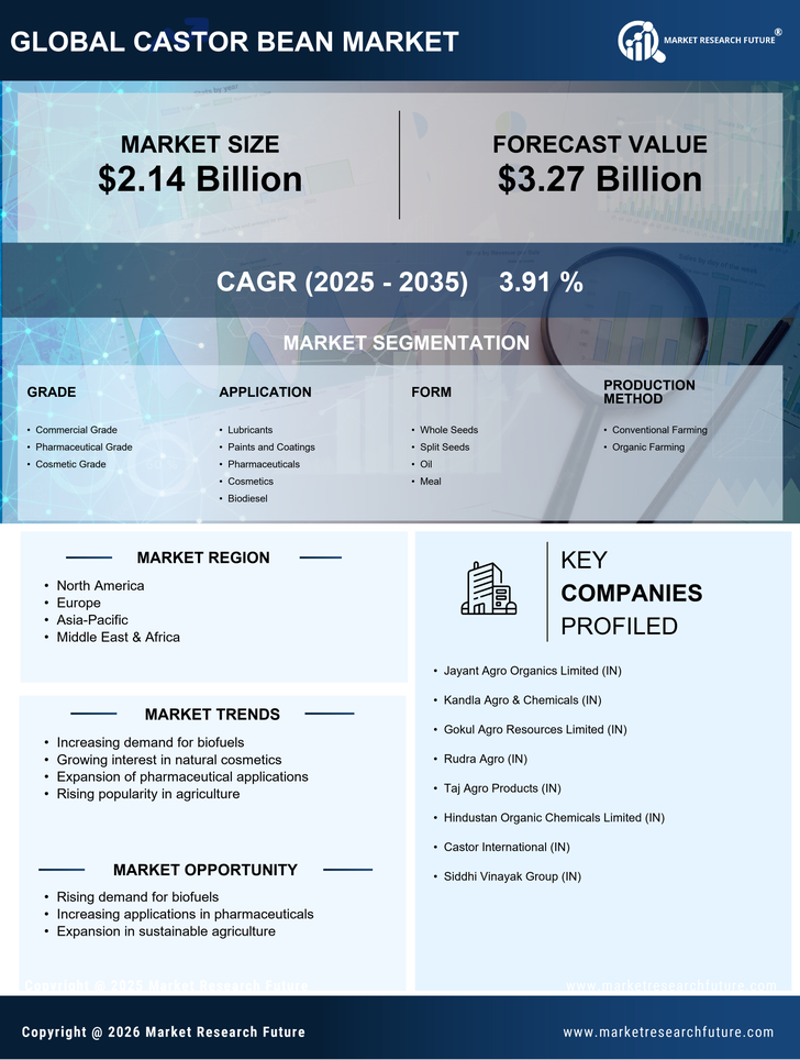 Castor Bean Market Research Report — Global Forecast till 2035 Infographic