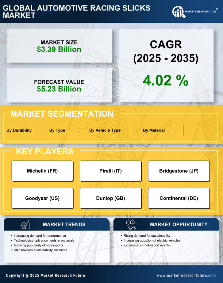 Automotive Racing Slicks Market Research Report — Global Forecast till 2035 Infographic