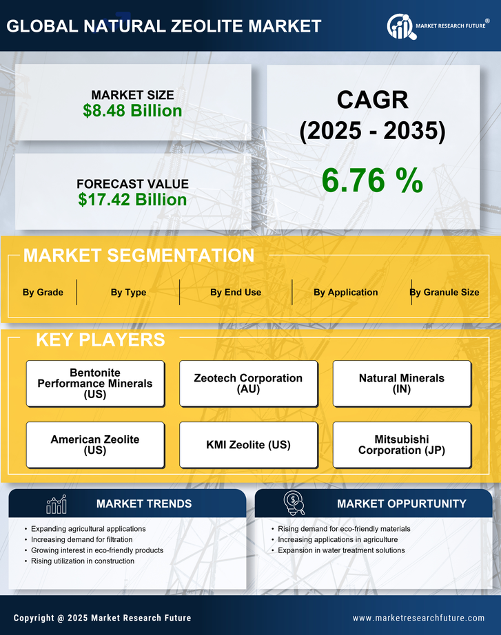Natural Zeolite Market Research Report — Global Forecast till 2035 Infographic