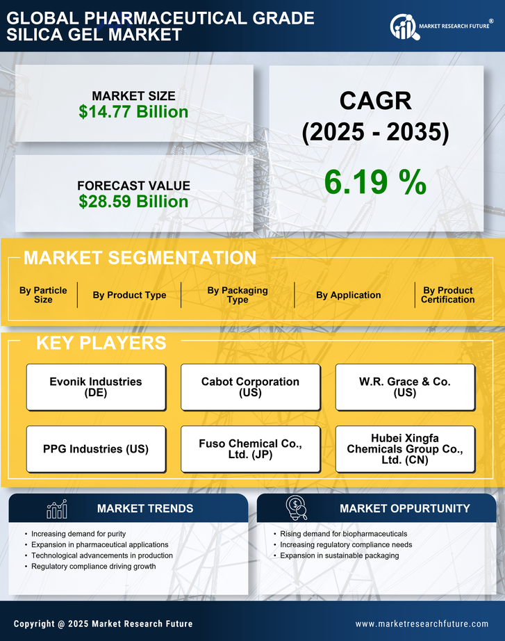 Pharmaceutical Grade Silica Gel Market Research Report — Global Forecast till 2035 Infographic