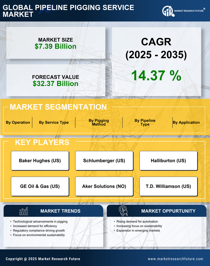 Pipeline Pigging Service Market Infographic