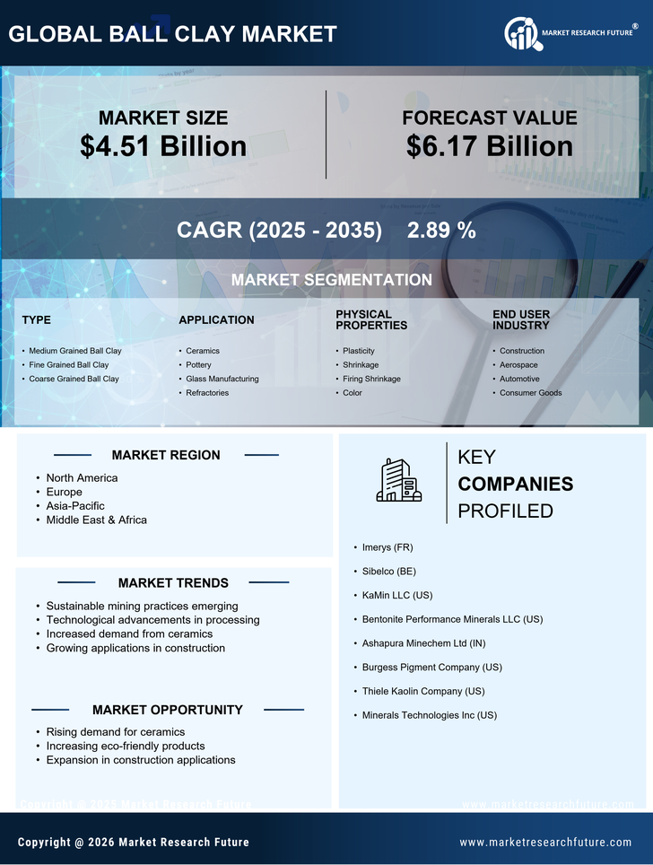 Ball Clay Market Research Report - Global Forecast till 2035 Infographic