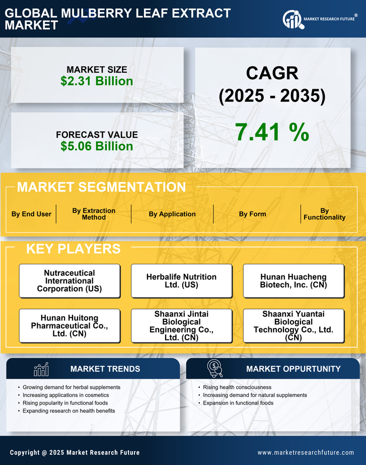 Mulberry Leaf Extract Market Research Report — Global Forecast till 2035 Infographic