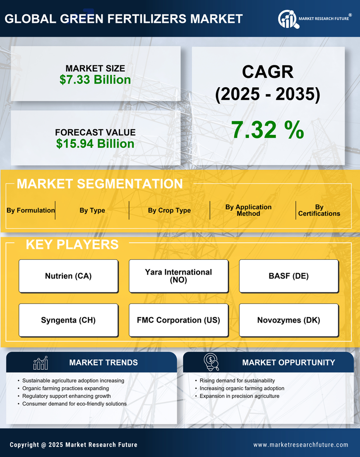 Green Fertilizers Market Research Report — Global Forecast till 2035 Infographic