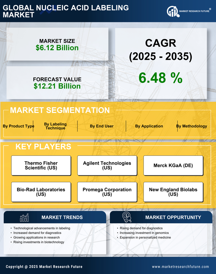 Nucleic Acid Labeling Market Research Report — Global Forecast till 2035 Infographic