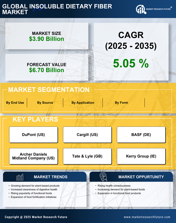 Insoluble Dietary Fiber Market Research Report -Global Forecast till 2035 Infographic