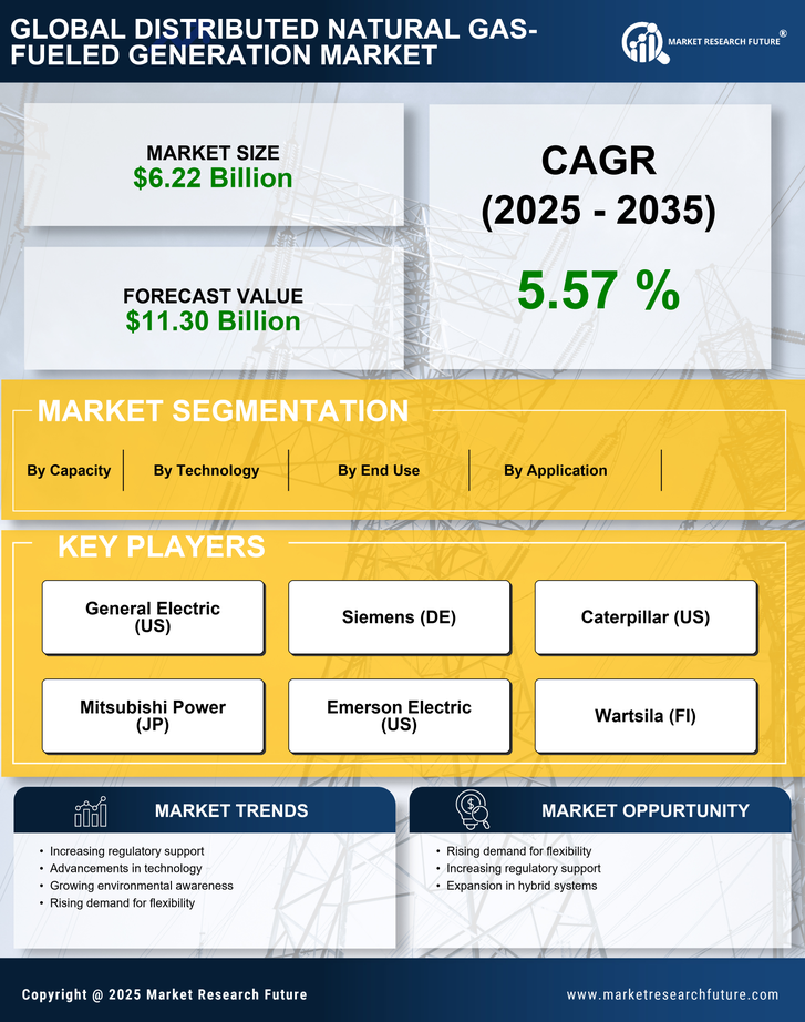 Distributed Natural Gas-Fueled Generation Market Research Report-Forecast till 2035 Infographic