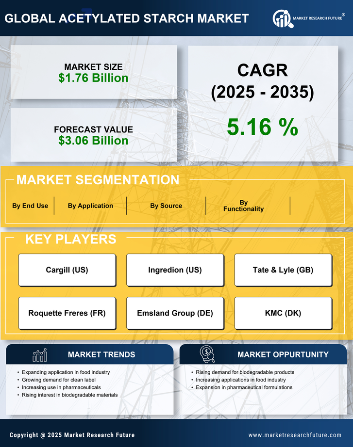 Acetylated Starch Market Research Report — Global Forecast till 2035 Infographic