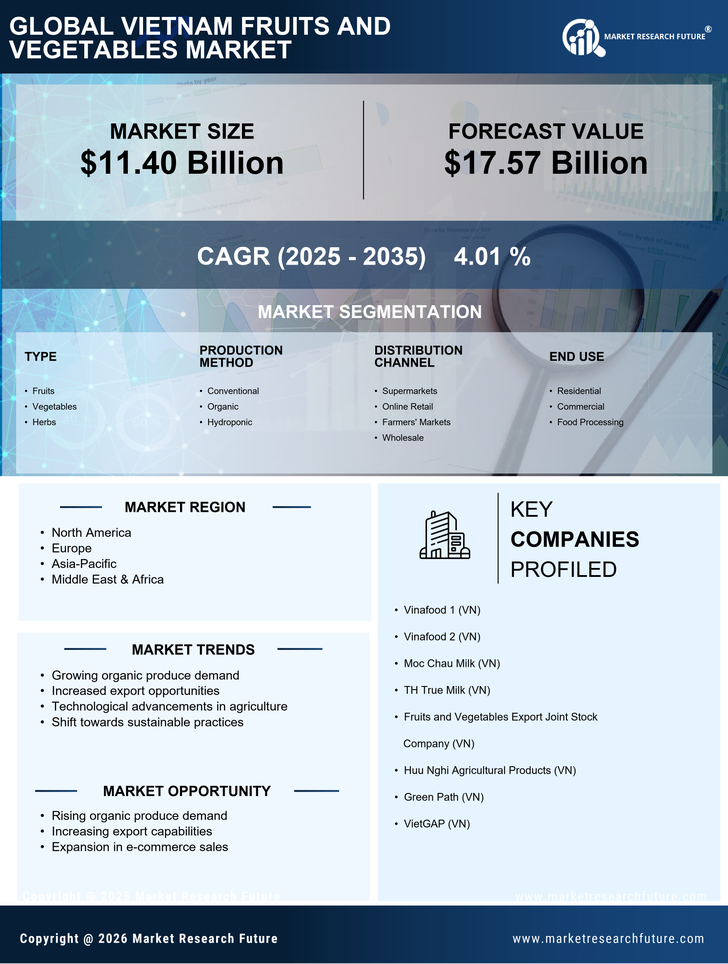 Vietnam Fruits And Vegetables Market Research  Report - Forecast by 2035 Infographic