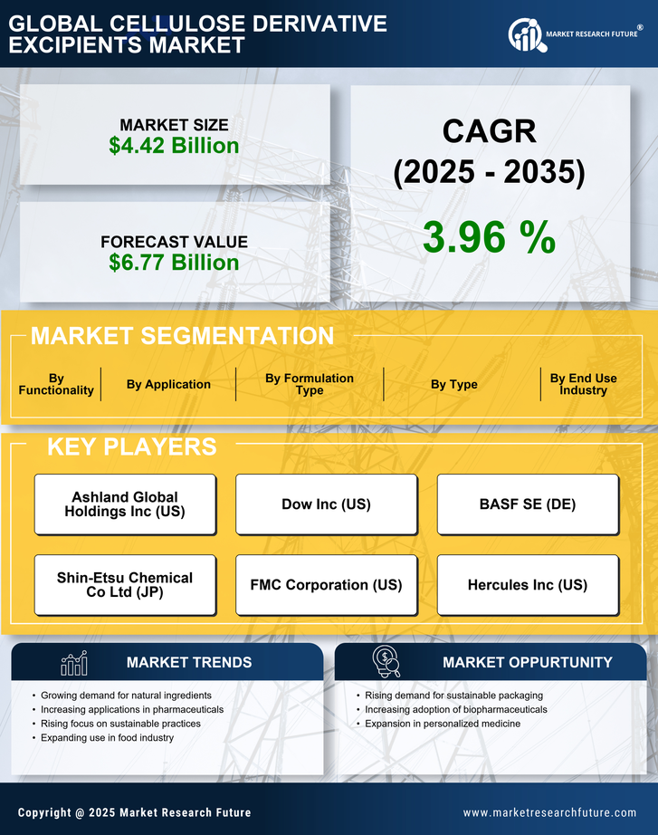 Cellulose Derivative Excipients Market Research Report — Global Forecast till 2035 Infographic