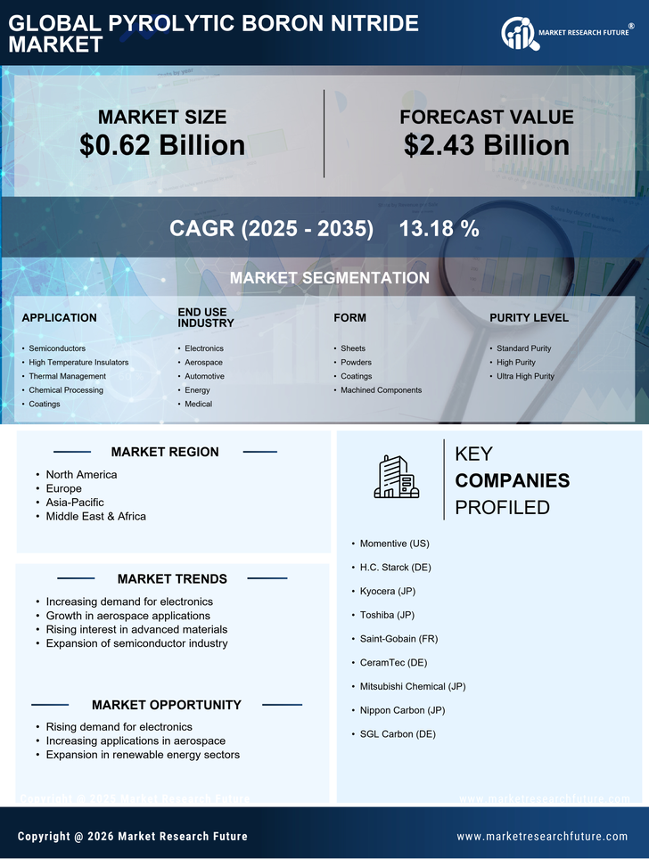 Pyrolytic Boron Nitride Market Research Report - Global Forecast by 2035 Infographic
