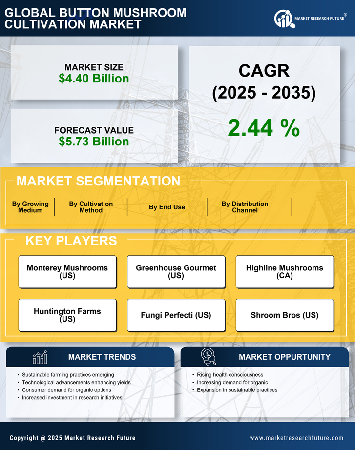 Button Mushroom Cultivation Market Research Report — Global Forecast till 2035 Infographic