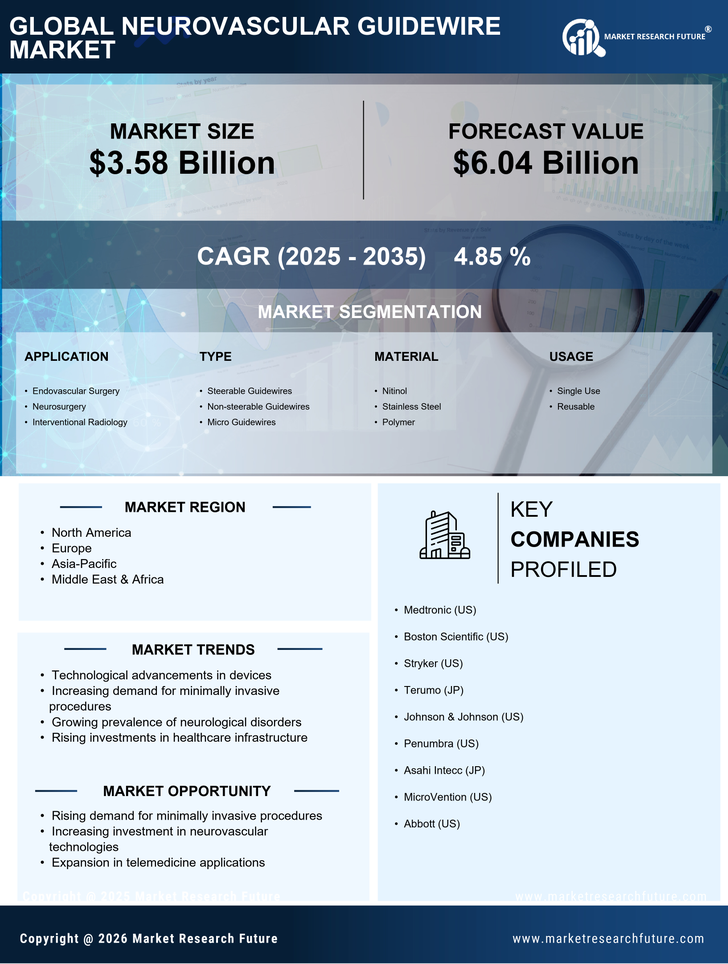 Neurovascular Guidewire Market Research Report — Global Forecast till 2035 Infographic