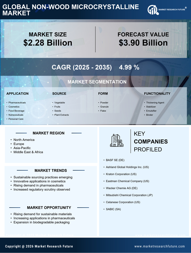 Non-Wood Microcrystalline Market Research Report- Global Forecast till 2035 Infographic