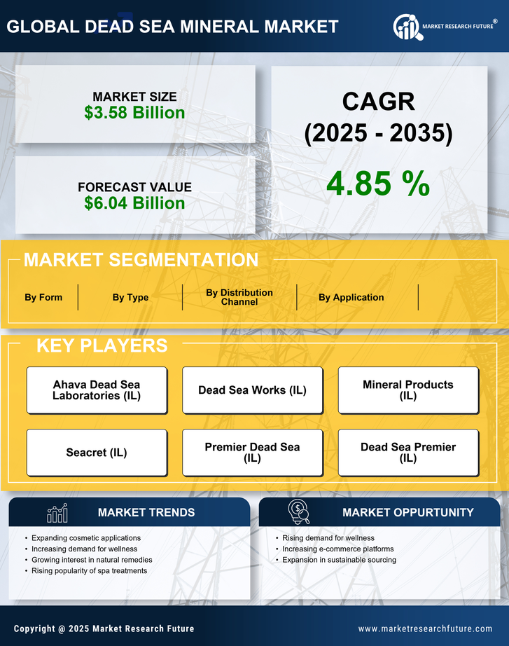 Dead Sea Mineral Market Research Report — Global Forecast till 2035 Infographic