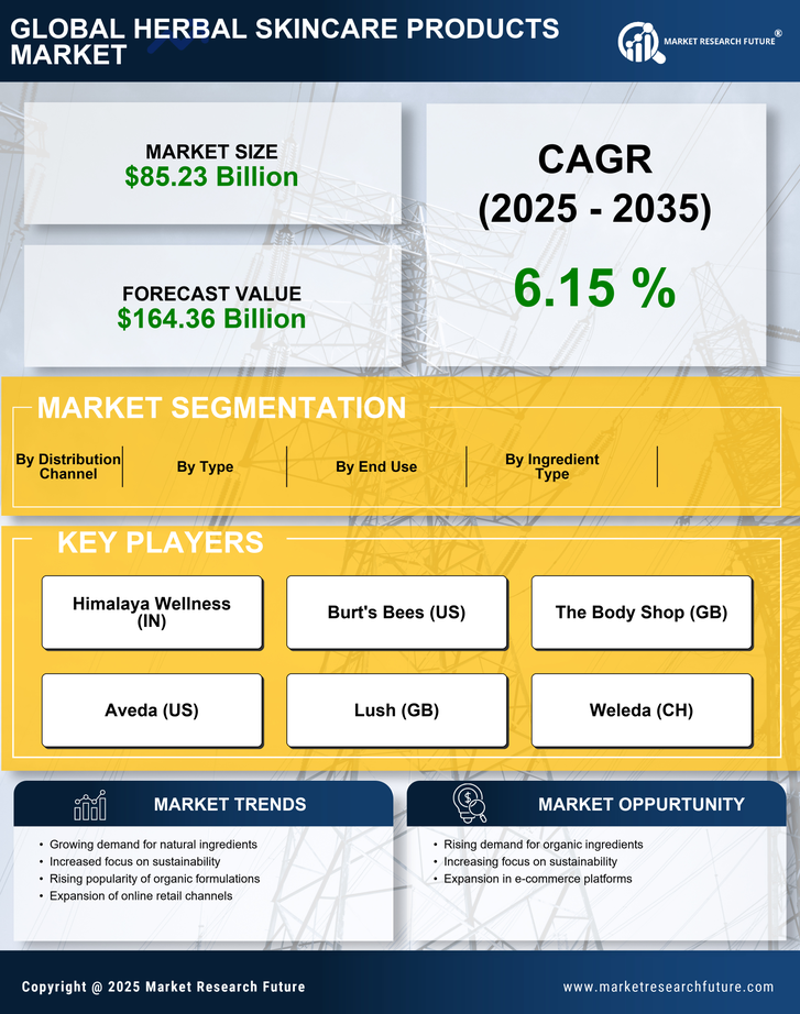 Herbal Skincare Products Market Research Report - Forecast till 2035 Infographic
