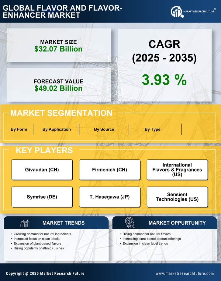 Flavor and Flavor-enhancer Market Research Report — Global Forecast till 2035 Infographic