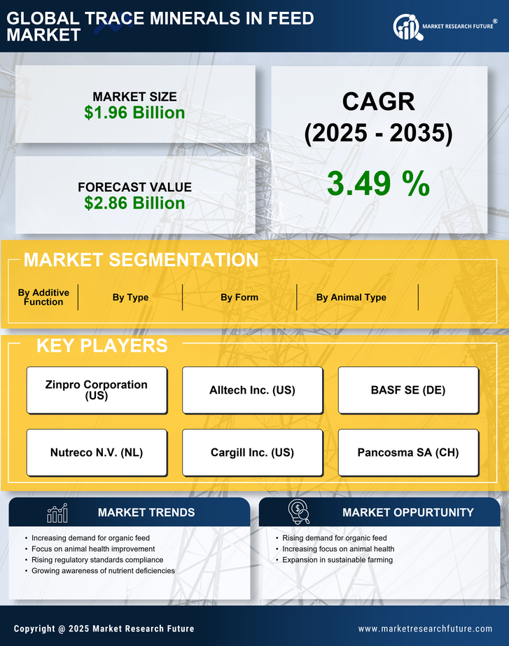 Trace Minerals in Feed Market Research Report — Global Forecast till 2035 Infographic