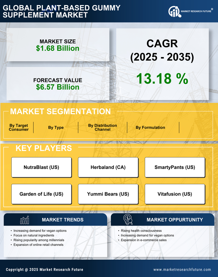Plant Based Gummy Supplement Market Research Report — Global Forecast till 2035 Infographic