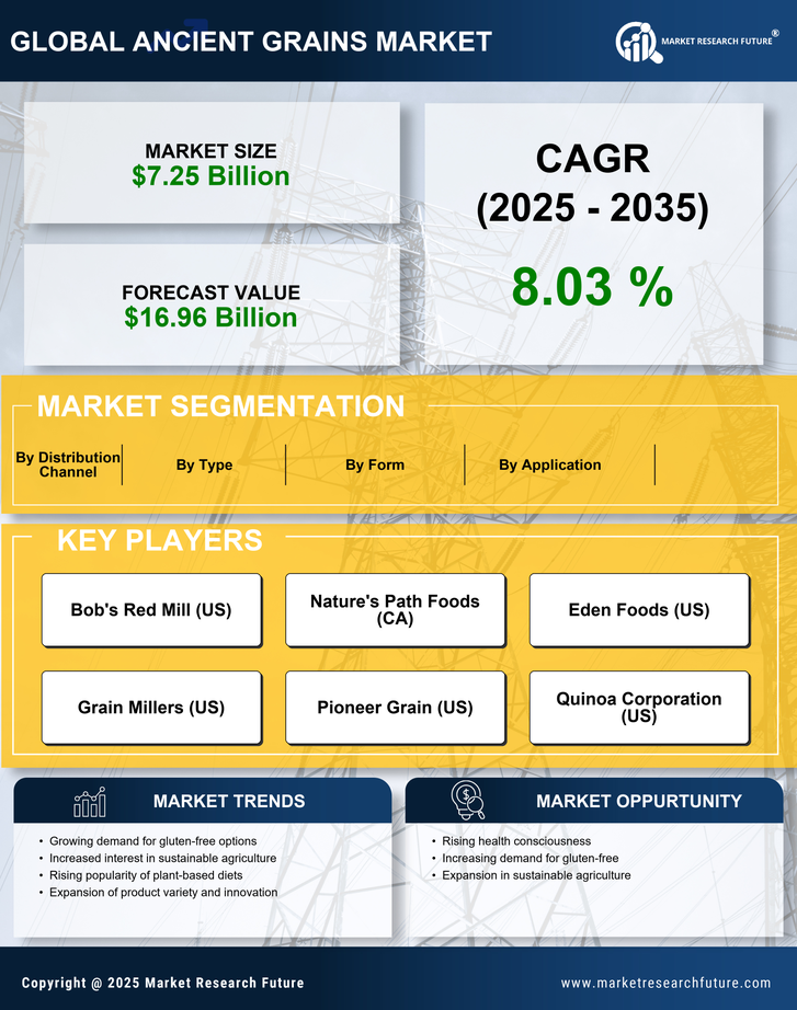 Ancient Grains Market Research Report — Global Forecast till 2035 Infographic