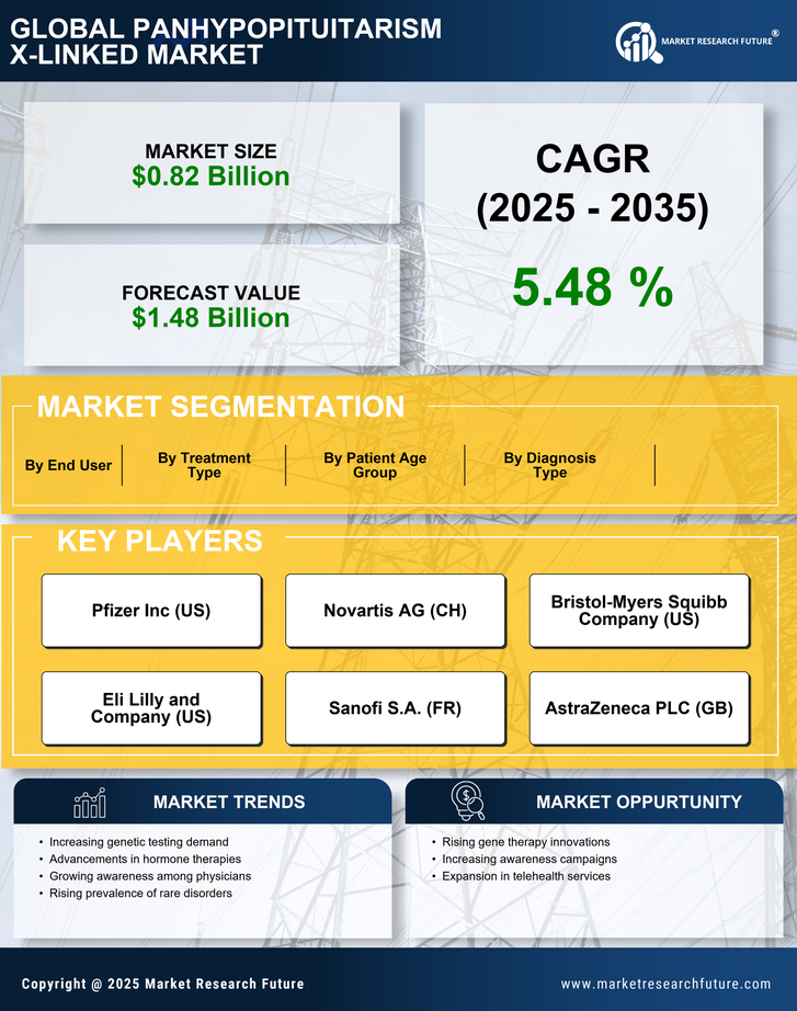Panhypopituitarism X Linked Market Research Report — Global Forecast till 2035 Infographic