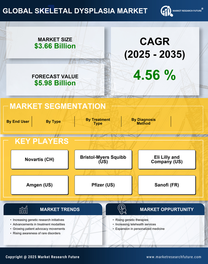 Skeletal Dysplasia Market Research Report - Global Forecast till 2035 Infographic