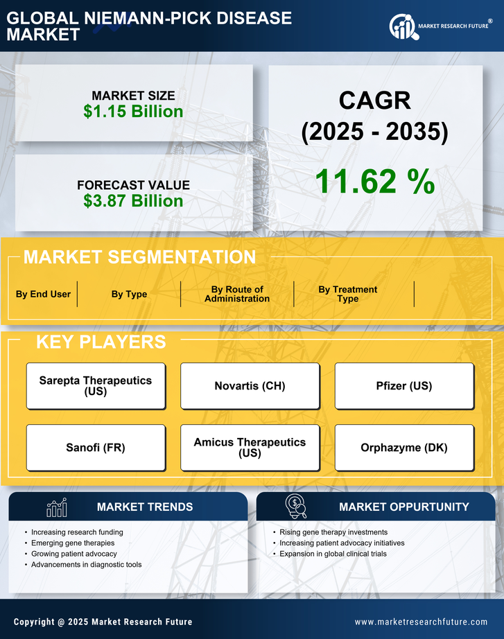 Niemann Pick Disease Market Research Report — Global Forecast till 2035 Infographic