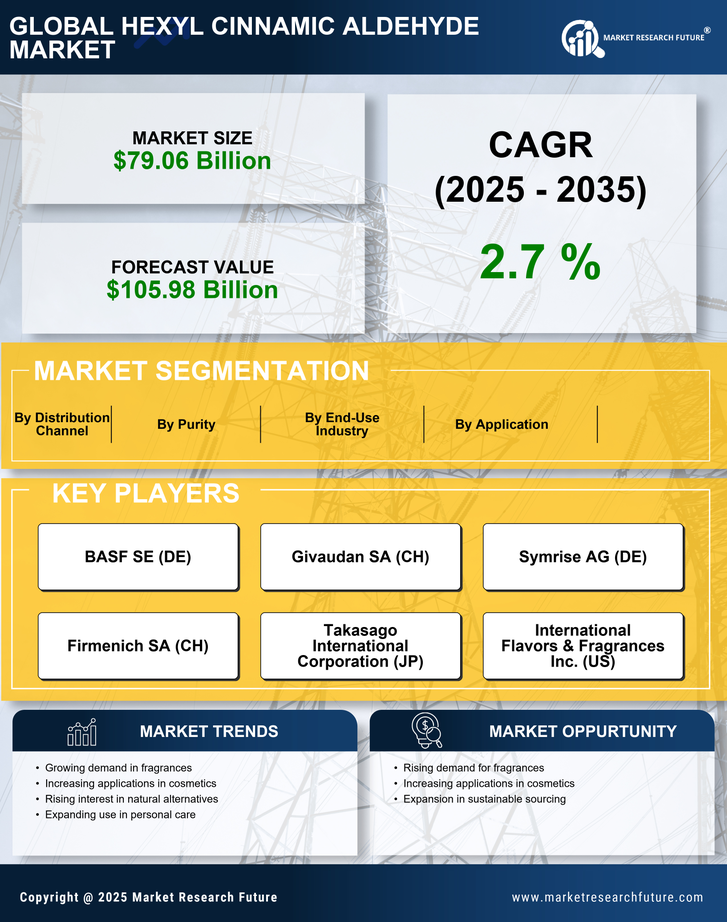 Hexyl Cinnamic Aldehyde Market Research Report — Global Forecast till 2035 Infographic