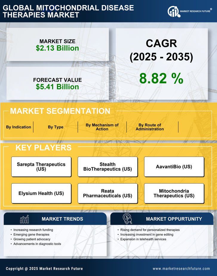 Mitochondrial Disease Therapies Market Research Report - Forecast 2035 Infographic