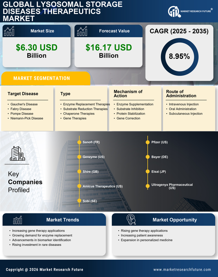 Lysosomal Storage Diseases Therapeutics Market Research Report - Forecast 2035 Infographic