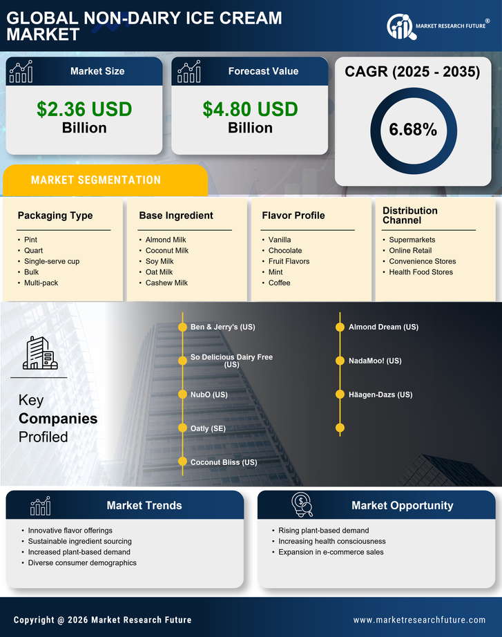 Non Dairy Ice Cream Market Infographic