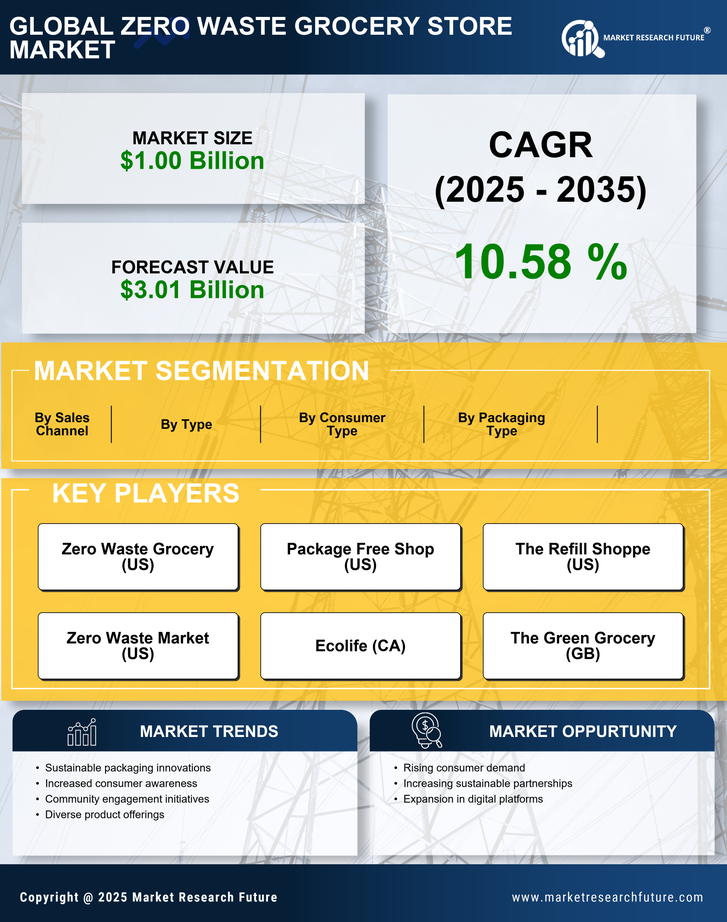 Zero Waste Grocery Store Market Research Report Forecast Till 2035 Infographic