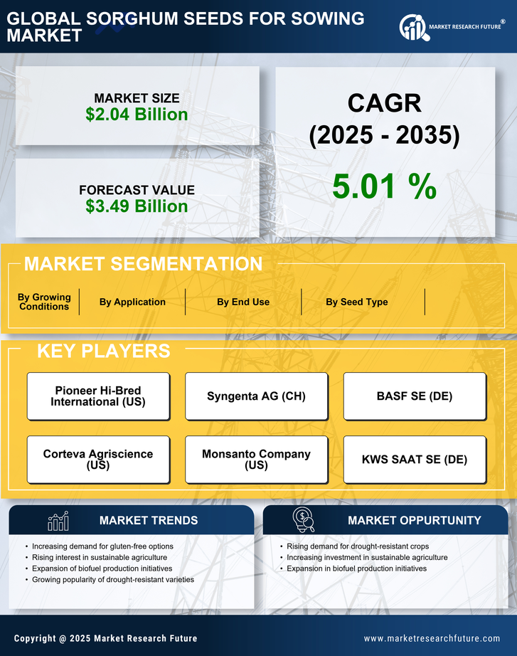 Sorghum Seeds For Sowing Market Research Report - Forecast Till 2035 Infographic