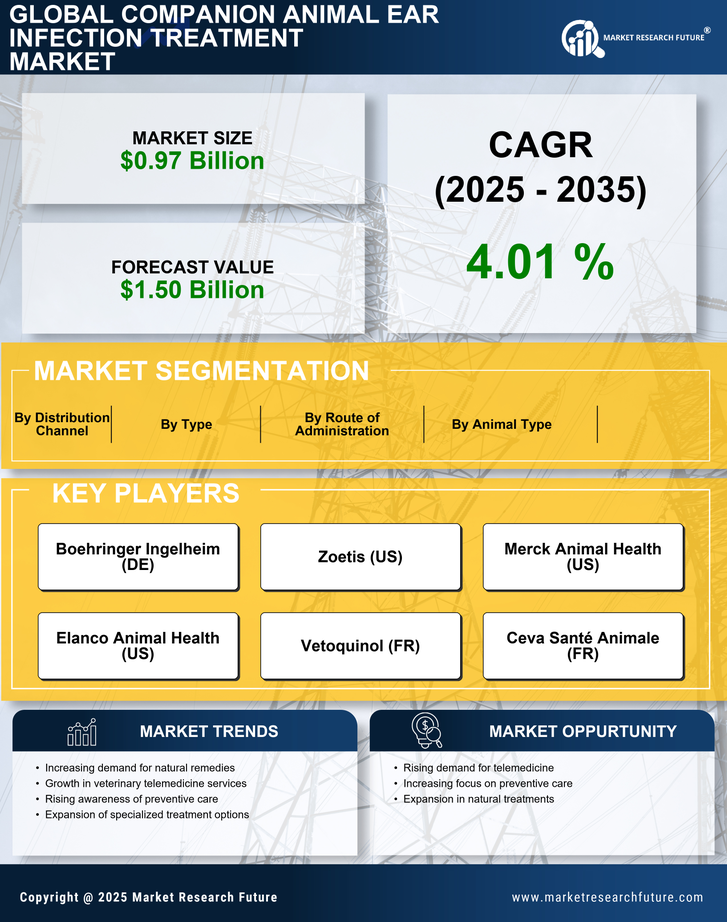 Companion Animal Ear Infection Treatment Market Research Report — Global Forecast till 2035 Infographic