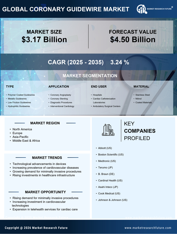 Coronary Guidewire Market Size, Trends, Growth Outlook 2035 Infographic