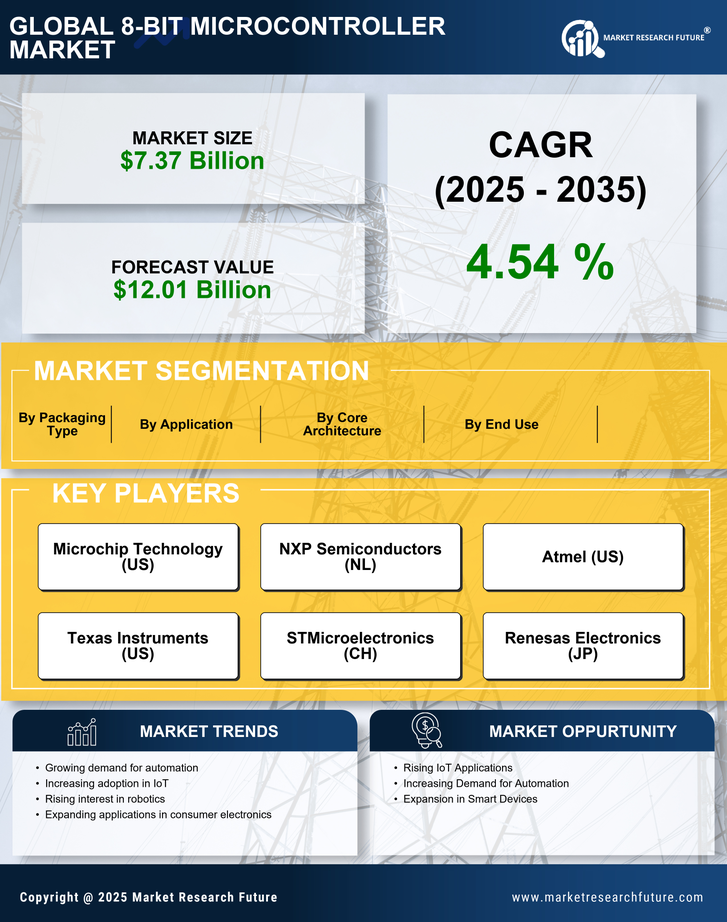 8 Bit Microcontroller Market Research Report - Global Forecast till 2035 Infographic