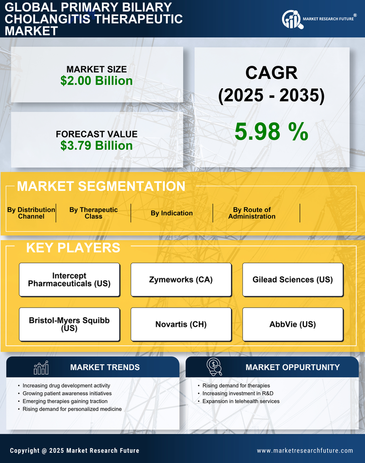 Primary Biliary Cholangitis Therapeutic Market Research Report - Global Forecast Till 2035 Infographic